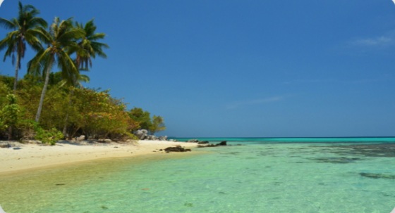 7 Destinasi Wajib di Karimunjawa yang Menawarkan Keindahan Alam Tiada Tanding